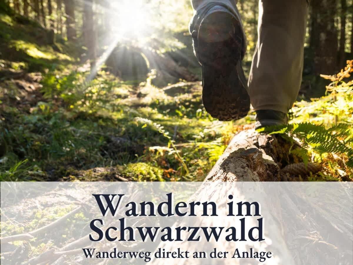 Schonach 66 Mit Indoor-Pool, Sauna, Kueche Und Netflix Schonach im Schwarzwald Eksteriør bilde